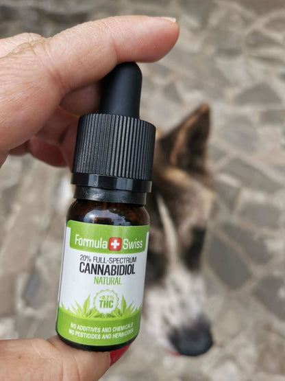 Hand holding a 5% full-spectrum bottle of Formula Swiss CBD oil in MCT oil, natural, with a dog behind it