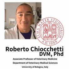 Professor Roberto Chiocchetti of the University of Bologna