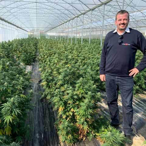 Formula Swiss founder in the Swiss hemp greenhouse